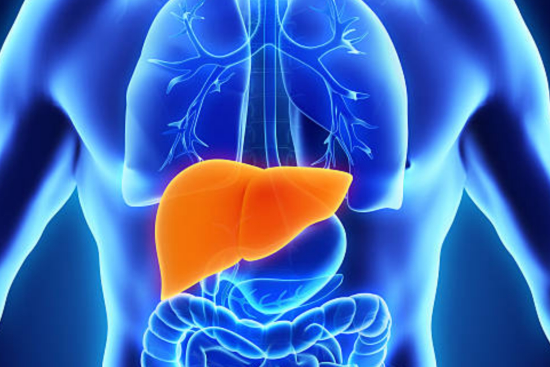 Liver Supplements